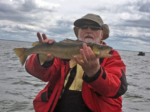 Walleye fishing on Lake Winnibigoshish is more fun with a Minnesota Fishing Guide that knows all the best spots to find walleye. Count on Royal Guide Service to put you on the fish.