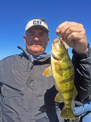 Dick Shorma enjoyed a successful day of jumbo perch fishing with Minnesota Fishing Guide Roy Girtz of Royal Guide Service in Grand Rapids, MN. 