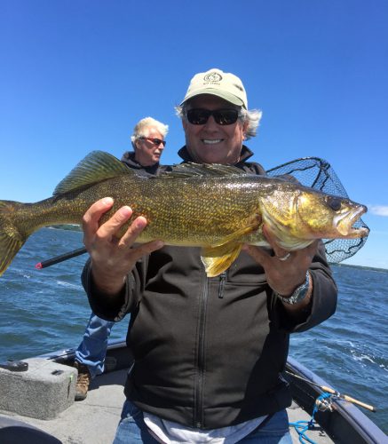 Walleye fishing in Minnesota is more fun with a professional guide from Royal Guide Service to put you on the fish.